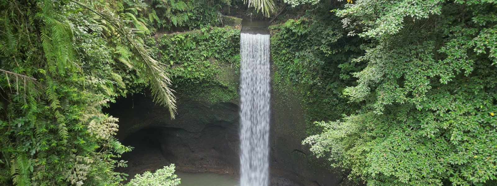 a waterfall in the middle of a forest